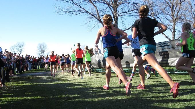 Compétition du 15 novembre  2017 – cross country départemental