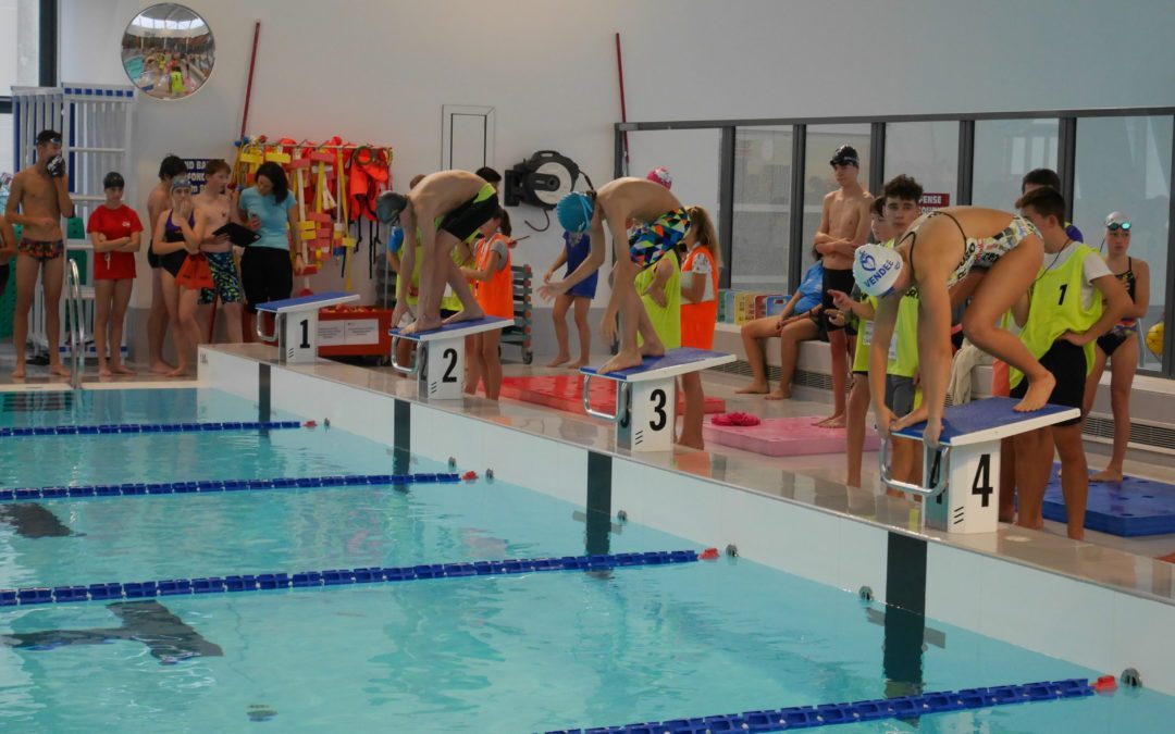 Le collège Jean Rostand représenté aux Championnats de Vendée UNSS de Natation