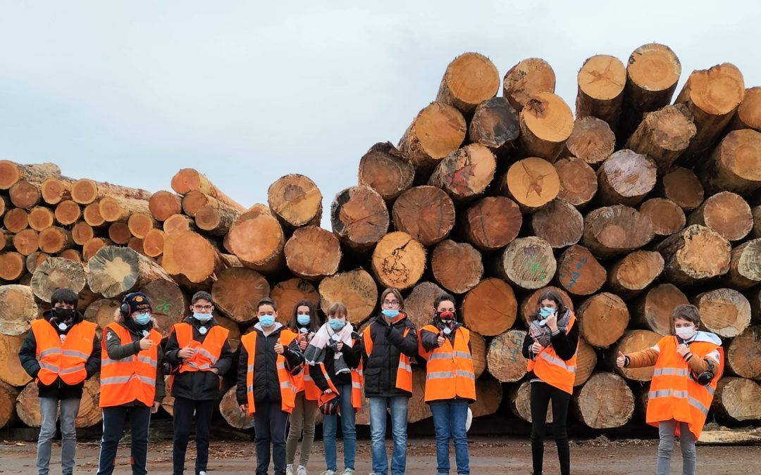 Les élèves de la 5E1 visitent l’entreprise Piveteau Bois