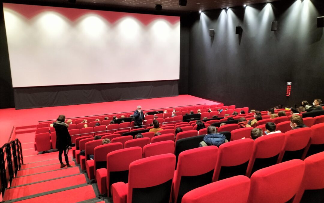 Collège au Cinéma : la Tortue Rouge