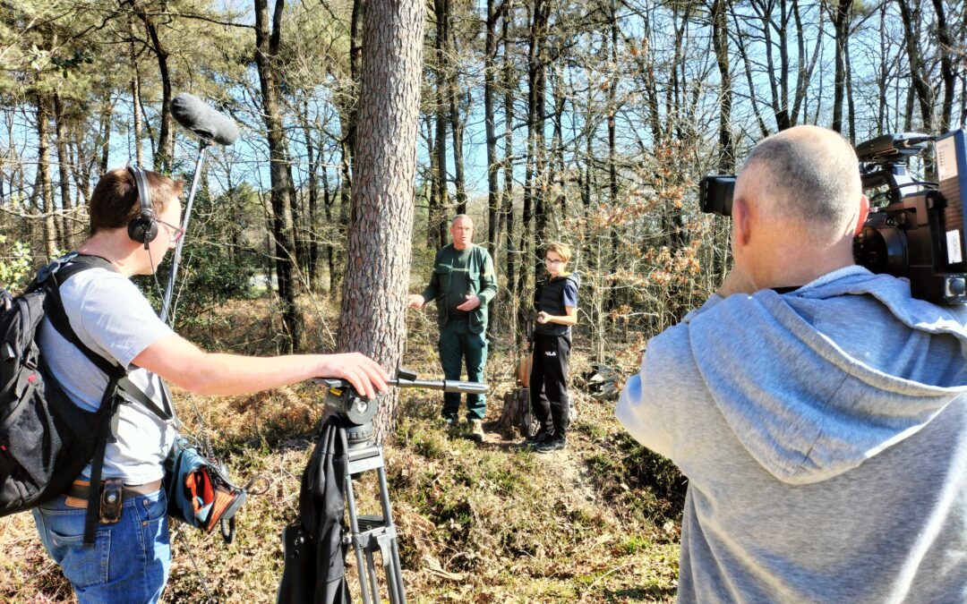 Visite des Bois Verts sous le regard d’Arte