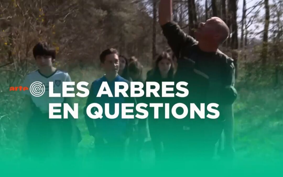 Le reportage consacré aux questions sur la forêt des élèves de 5E1 diffusé sur Arte