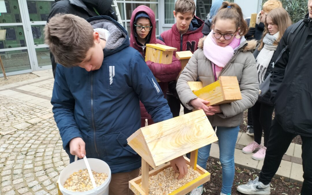 INSTALLATION DE NICHOIRS ET DE MANGEOIRES POUR OISEAUX EN PARTENARIAT AVEC LA CPIE