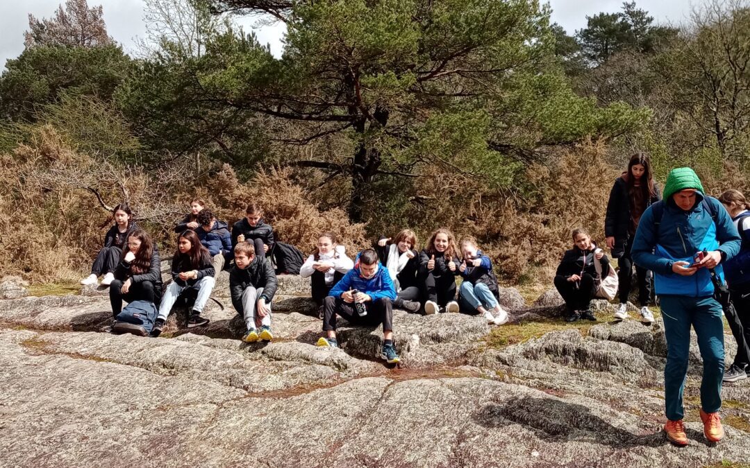 SÉJOUR DÉCOUVERTE EN FORÊT DE BROCÉLIANDE