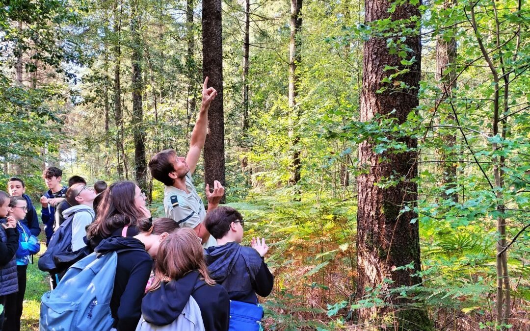 LA 5A EN IMMERSION EN FORÊT DES BOIS VERTS AVEC UN TECHNICIEN DE L’O.N.F.