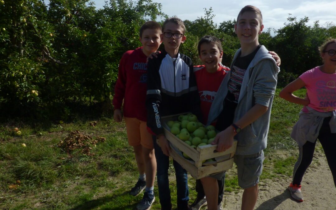 LE PROJET DE LA 4ÈME A « AUTOUR DE LA POMME »